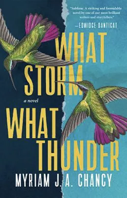 book cover of What Storm